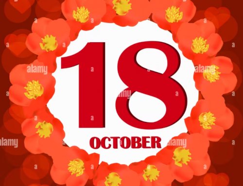 [18Oct25] Pelatihan Forex Membina Anda Sampai KONSISTEN Profit !!